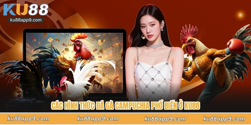 Các Hình Thức Đá Gà Campuchia Phổ Biến Ở Ku88