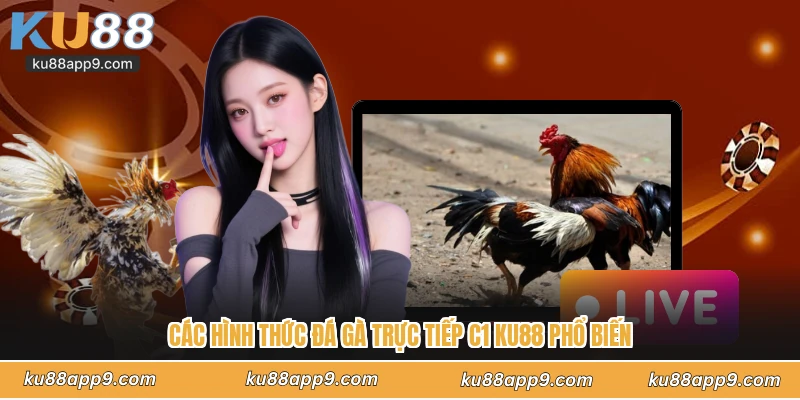 Đá Gà Trực Tiếp C1 Ku88 - Giải Đấu Hùng Kê Tranh Hùng Kịch Tính 3 Các Hình Thức Đá Gà Trực Tiếp C1 Ku88 Phổ Biến