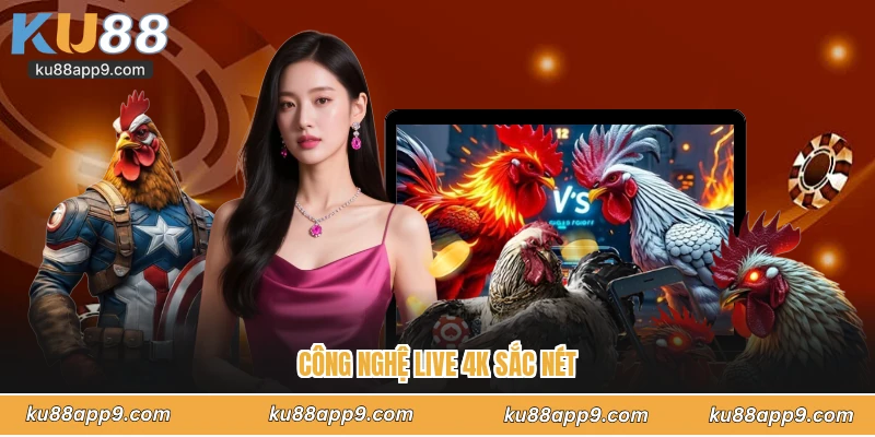 Đá Gà Đòn Trực Tiếp Ku88 - Đấu Trường Sinh Tử Của Chiến Kê 2 Công Nghệ Live 4K Sắc Nét