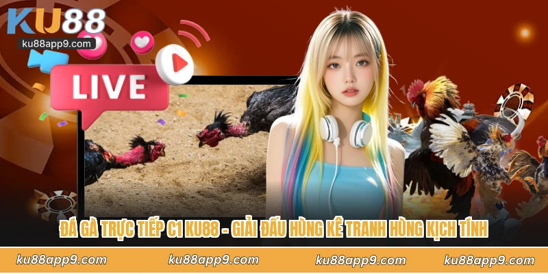 Đá Gà Trực Tiếp C1 Ku88 - Giải Đấu Hùng Kê Tranh Hùng Kịch Tính 1 Đá Gà Trực Tiếp C1