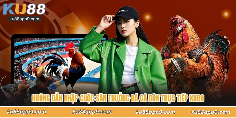 Đá Gà Đòn Trực Tiếp Ku88 - Đấu Trường Sinh Tử Của Chiến Kê 4 Hướng Dẫn Nhập Cuộc Săn Thưởng Đá Gà Đòn Trực Tiếp Ku88