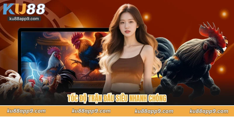 Đá Gà Cựa Dao Ku88 - Đấu Trường Sinh Tử Nghẹt Thở Từng Giây 2 Tốc Độ Trận Đấu Siêu Nhanh Chóng